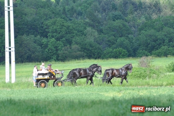 Zdjęcie w galerii na portalu naszraciborz.pl: Brzezie zaprasza na procesję św. Urbana  wiadomości z regionu