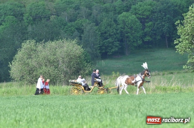 Zdjęcie w galerii na portalu naszraciborz.pl: Brzezie zaprasza na procesję św. Urbana  wiadomości z regionu