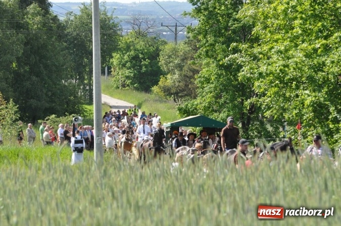 Zdjęcie w galerii na portalu naszraciborz.pl: Brzezie zaprasza na procesję św. Urbana  wiadomości z regionu