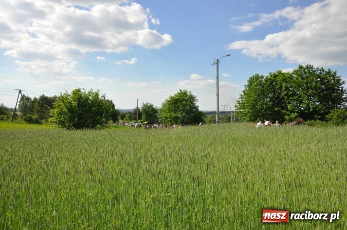 Zdjęcie w galerii na portalu naszraciborz.pl: Brzezie zaprasza na procesję św. Urbana  wiadomości z regionu