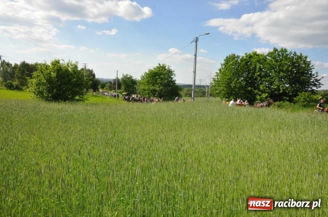 Zdjęcie w galerii na portalu naszraciborz.pl: Brzezie zaprasza na procesję św. Urbana  wiadomości z regionu