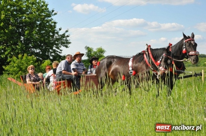 Zdjęcie w galerii na portalu naszraciborz.pl: Brzezie zaprasza na procesję św. Urbana  wiadomości z regionu