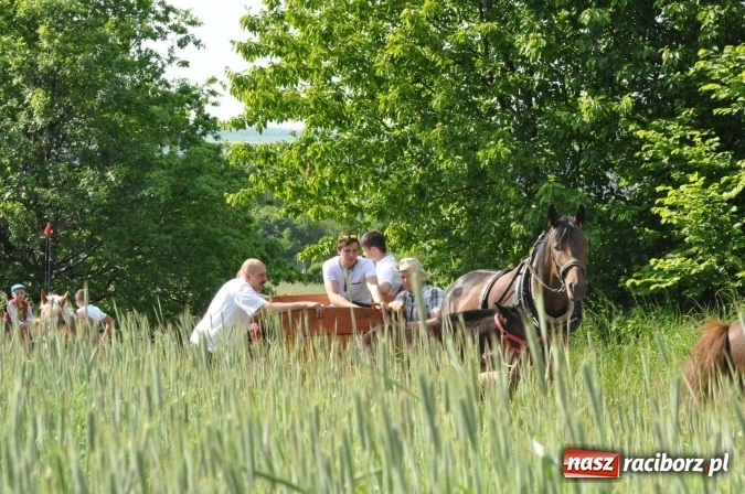 Zdjęcie w galerii na portalu naszraciborz.pl: Brzezie zaprasza na procesję św. Urbana  wiadomości z regionu