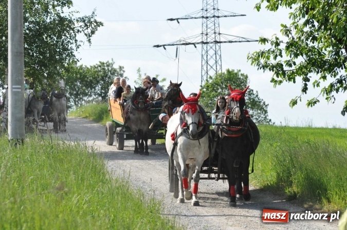 Zdjęcie w galerii na portalu naszraciborz.pl: Brzezie zaprasza na procesję św. Urbana  wiadomości z regionu