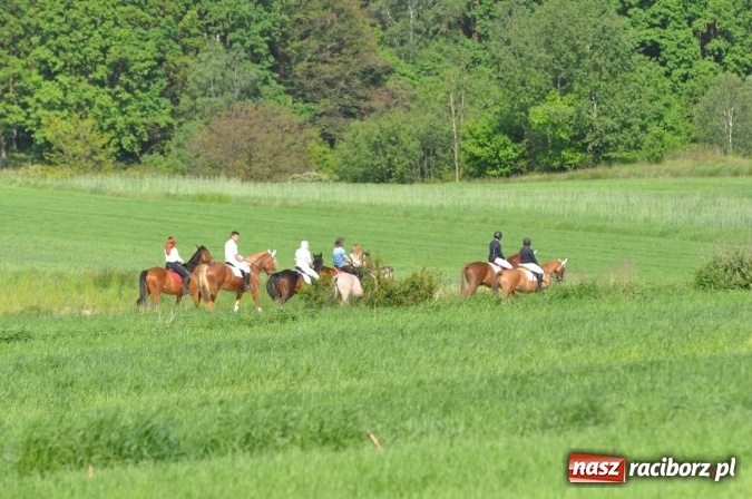 Zdjęcie w galerii na portalu naszraciborz.pl: Brzezie zaprasza na procesję św. Urbana  wiadomości z regionu