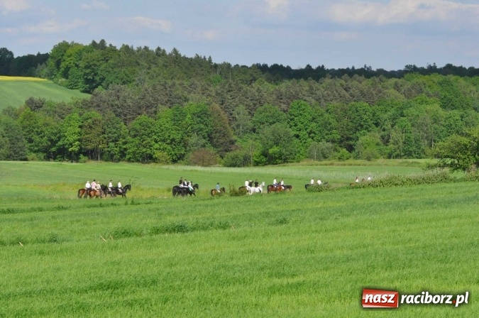 Zdjęcie w galerii na portalu naszraciborz.pl: Brzezie zaprasza na procesję św. Urbana  wiadomości z regionu