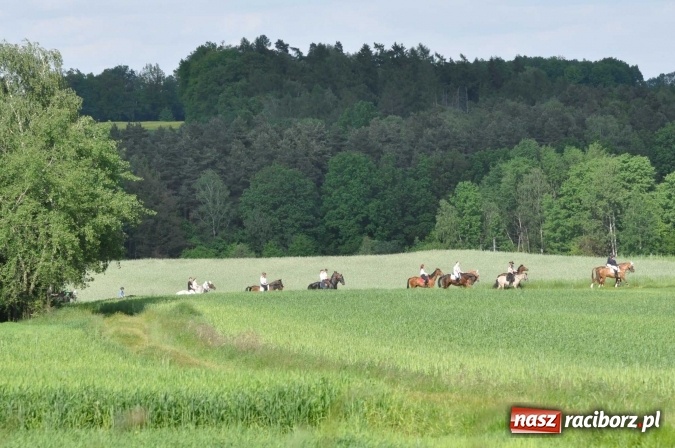Zdjęcie w galerii na portalu naszraciborz.pl: Brzezie zaprasza na procesję św. Urbana  wiadomości z regionu