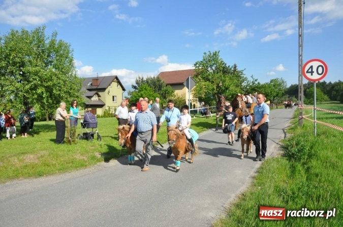 Zdjęcie w galerii na portalu naszraciborz.pl: Brzezie zaprasza na procesję św. Urbana  wiadomości z regionu