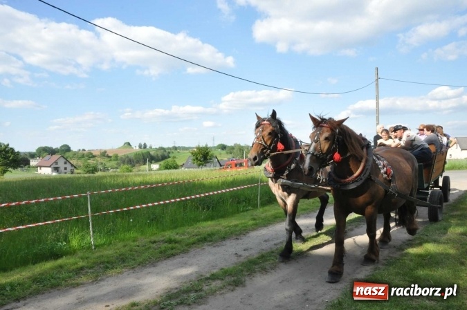 Zdjęcie w galerii na portalu naszraciborz.pl: Brzezie zaprasza na procesję św. Urbana  wiadomości z regionu