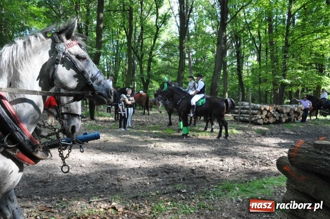 Zdjęcie w galerii na portalu naszraciborz.pl: Brzezie zaprasza na procesję św. Urbana  wiadomości z regionu