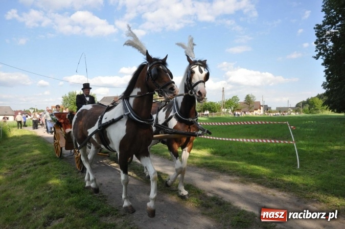 Zdjęcie w galerii na portalu naszraciborz.pl: Brzezie zaprasza na procesję św. Urbana  wiadomości z regionu