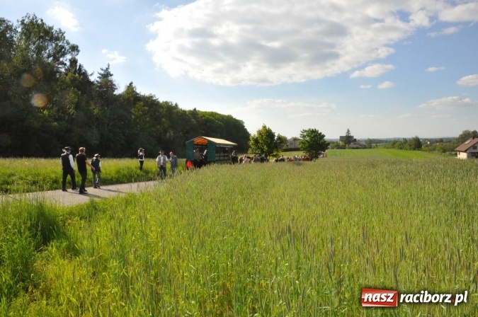 Zdjęcie w galerii na portalu naszraciborz.pl: Brzezie zaprasza na procesję św. Urbana  wiadomości z regionu