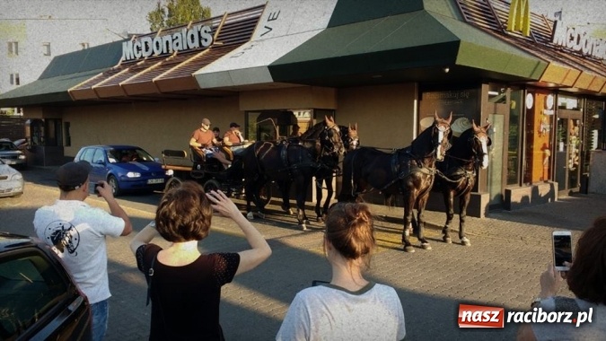 Zdjęcie w galerii na portalu naszraciborz.pl: Bryczka z czterema końmi w McDrive Racibórz  wiadomości z regionu