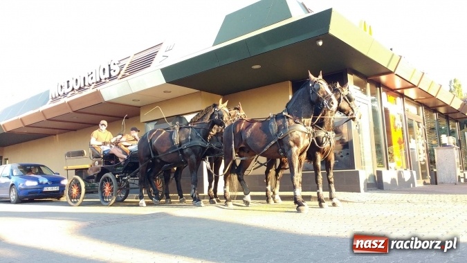 Zdjęcie w galerii na portalu naszraciborz.pl: Bryczka z czterema końmi w McDrive Racibórz  wiadomości z regionu