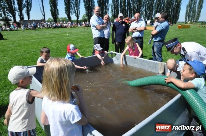 Zdjęcie w galerii na portalu naszraciborz.pl: Strażacy z Borucina mistrzami gminy Krzanowice w zawodach sportowo-pożarniczych. Trzy puchary dla Pietraszyna  wiadomości z regionu