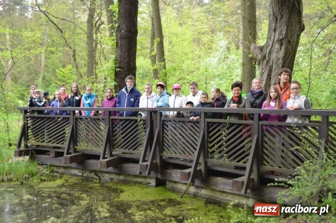 Zdjęcie w galerii na portalu naszraciborz.pl: O współpracy i integracji w Szkole Podstawowej nr 13 wiadomości z regionu