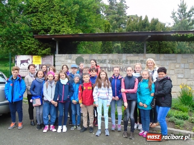 Zdjęcie w galerii na portalu naszraciborz.pl: O współpracy i integracji w Szkole Podstawowej nr 13 wiadomości z regionu