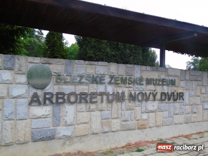 Zdjęcie w galerii na portalu naszraciborz.pl: O współpracy i integracji w Szkole Podstawowej nr 13 wiadomości z regionu