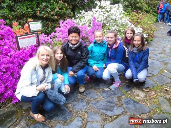 Zdjęcie w galerii na portalu naszraciborz.pl: O współpracy i integracji w Szkole Podstawowej nr 13 wiadomości z regionu