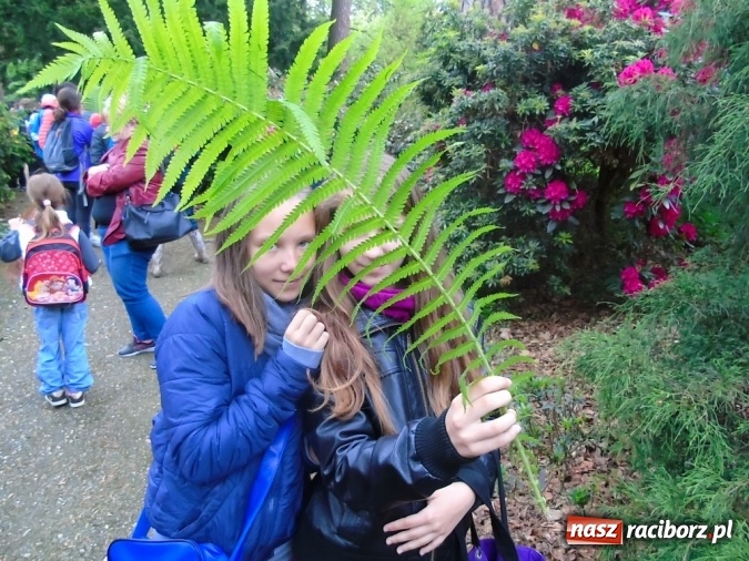 Zdjęcie w galerii na portalu naszraciborz.pl: O współpracy i integracji w Szkole Podstawowej nr 13 wiadomości z regionu