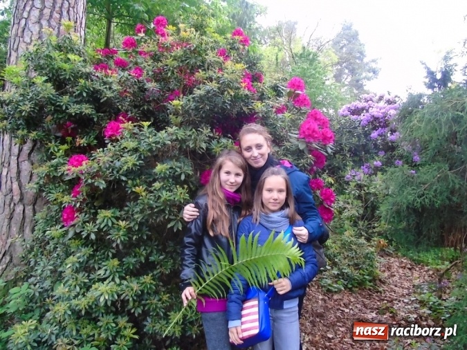 Zdjęcie w galerii na portalu naszraciborz.pl: O współpracy i integracji w Szkole Podstawowej nr 13 wiadomości z regionu