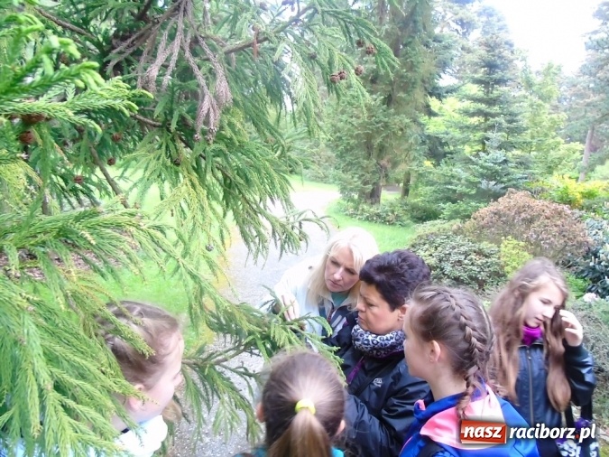 Zdjęcie w galerii na portalu naszraciborz.pl: O współpracy i integracji w Szkole Podstawowej nr 13 wiadomości z regionu