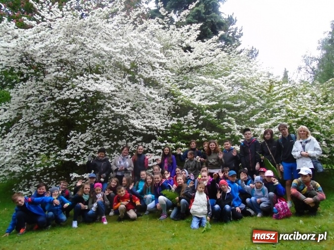 Zdjęcie w galerii na portalu naszraciborz.pl: O współpracy i integracji w Szkole Podstawowej nr 13 wiadomości z regionu
