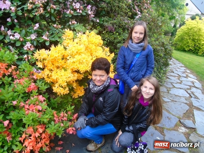 Zdjęcie w galerii na portalu naszraciborz.pl: O współpracy i integracji w Szkole Podstawowej nr 13 wiadomości z regionu