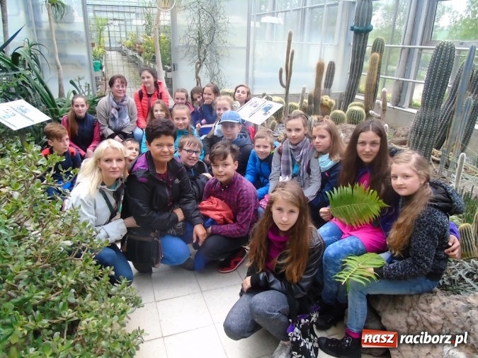 Zdjęcie w galerii na portalu naszraciborz.pl: O współpracy i integracji w Szkole Podstawowej nr 13 wiadomości z regionu