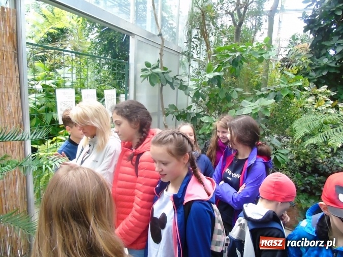 Zdjęcie w galerii na portalu naszraciborz.pl: O współpracy i integracji w Szkole Podstawowej nr 13 wiadomości z regionu