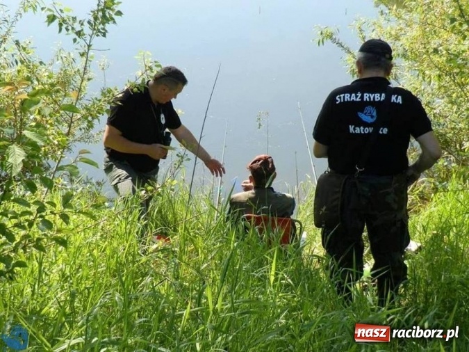 Zdjęcie w galerii na portalu naszraciborz.pl: Wspólny patrol Społecznej Straży Rybackiej i raciborskich policjantów  wiadomości z regionu
