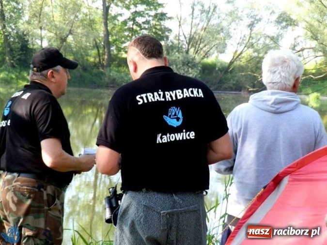 Zdjęcie w galerii na portalu naszraciborz.pl: Wspólny patrol Społecznej Straży Rybackiej i raciborskich policjantów  wiadomości z regionu