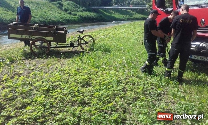Zdjęcie w galerii na portalu naszraciborz.pl: Głupota nie zna granic. Kolejne trzy osoby złapane przez oko wielkiego brata na bulwarach wiadomości z regionu