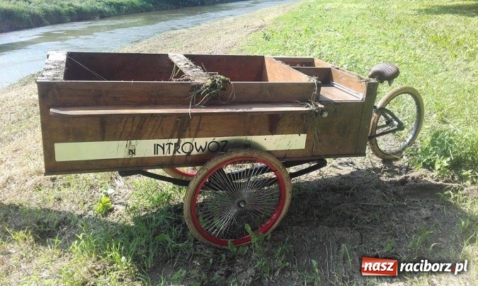 Zdjęcie w galerii na portalu naszraciborz.pl: Głupota nie zna granic. Kolejne trzy osoby złapane przez oko wielkiego brata na bulwarach wiadomości z regionu