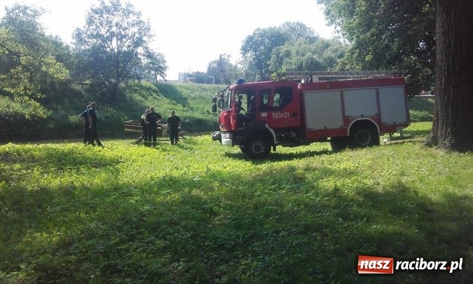 Zdjęcie w galerii na portalu naszraciborz.pl: Głupota nie zna granic. Kolejne trzy osoby złapane przez oko wielkiego brata na bulwarach wiadomości z regionu