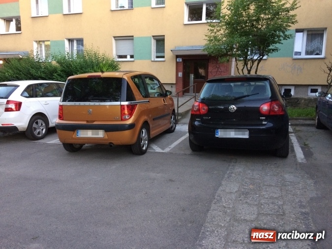 Zdjęcie w galerii na portalu naszraciborz.pl: Raciborski mistrz parkowania w natarciu wiadomości z regionu