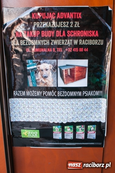 Zdjęcie w galerii na portalu naszraciborz.pl: Dzięki mieszkańcom Raciborza schronisko otrzymało nową budę dla psów wiadomości z regionu