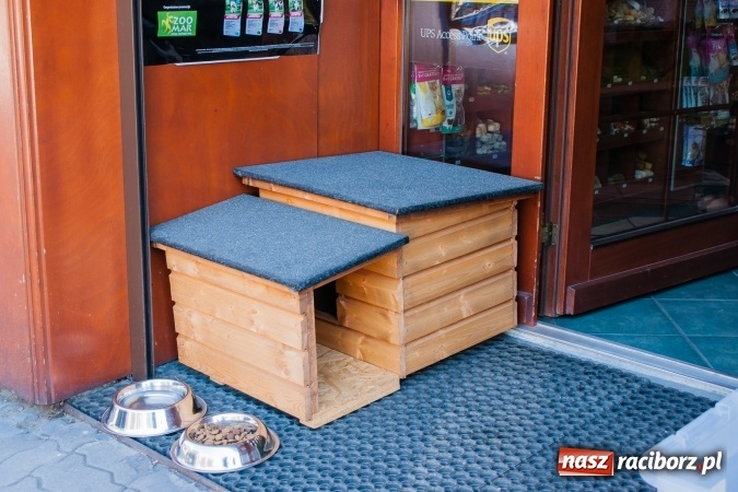 Zdjęcie w galerii na portalu naszraciborz.pl: Dzięki mieszkańcom Raciborza schronisko otrzymało nową budę dla psów wiadomości z regionu