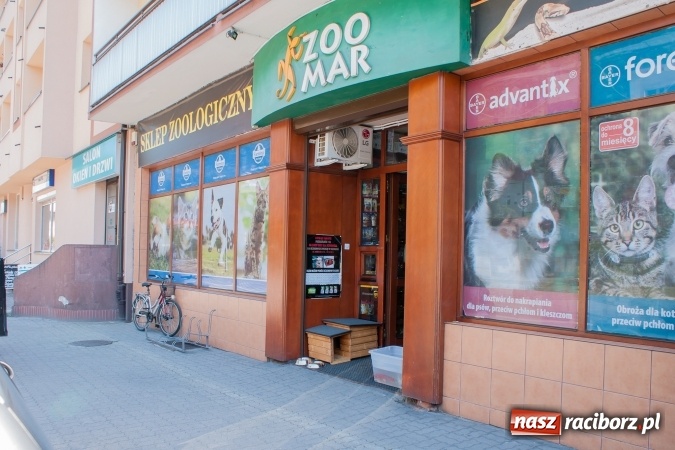 Zdjęcie w galerii na portalu naszraciborz.pl: Dzięki mieszkańcom Raciborza schronisko otrzymało nową budę dla psów wiadomości z regionu