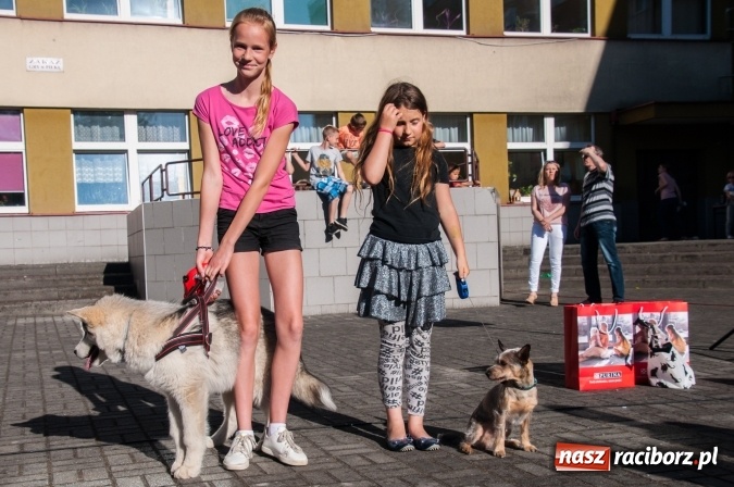 Zdjęcie w galerii na portalu naszraciborz.pl: Było nadzwyczajnie! Szkoła Podstawowa nr 18 zaprosiła na rodzinny festyn z okazji Dnia Dziecka wiadomości z regionu