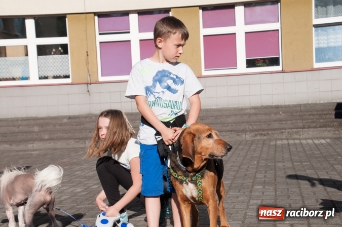 Zdjęcie w galerii na portalu naszraciborz.pl: Było nadzwyczajnie! Szkoła Podstawowa nr 18 zaprosiła na rodzinny festyn z okazji Dnia Dziecka wiadomości z regionu