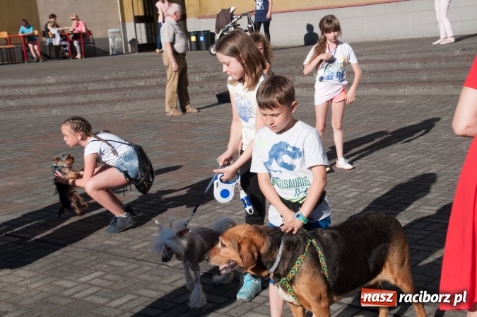 Zdjęcie w galerii na portalu naszraciborz.pl: Było nadzwyczajnie! Szkoła Podstawowa nr 18 zaprosiła na rodzinny festyn z okazji Dnia Dziecka wiadomości z regionu