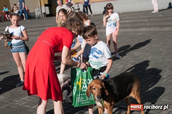 Zdjęcie w galerii na portalu naszraciborz.pl: Było nadzwyczajnie! Szkoła Podstawowa nr 18 zaprosiła na rodzinny festyn z okazji Dnia Dziecka wiadomości z regionu