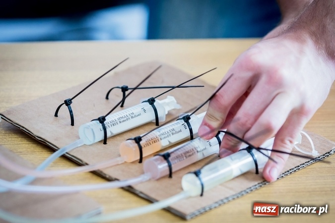 Zdjęcie w galerii na portalu naszraciborz.pl: Dzień Dziecka z Techniką w PWSZ w Raciborzu  wiadomości z regionu