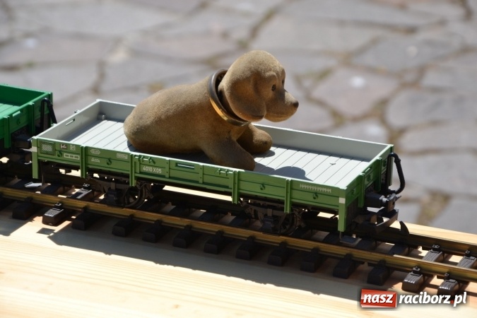 Zdjęcie w galerii na portalu naszraciborz.pl: IV Czym Nędza bogata! - rodzinny piknik na Zamku Piastowskim za nami  wiadomości z regionu