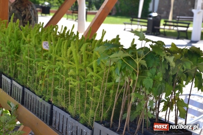 Zdjęcie w galerii na portalu naszraciborz.pl: IV Czym Nędza bogata! - rodzinny piknik na Zamku Piastowskim za nami  wiadomości z regionu