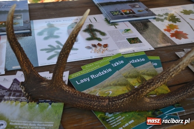 Zdjęcie w galerii na portalu naszraciborz.pl: IV Czym Nędza bogata! - rodzinny piknik na Zamku Piastowskim za nami  wiadomości z regionu