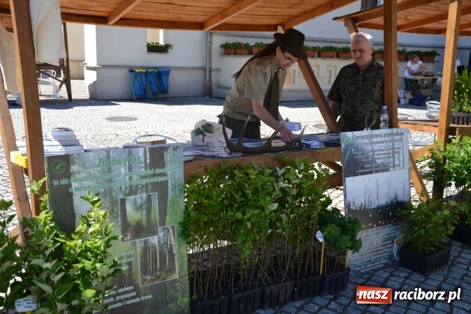 Zdjęcie w galerii na portalu naszraciborz.pl: IV Czym Nędza bogata! - rodzinny piknik na Zamku Piastowskim za nami  wiadomości z regionu