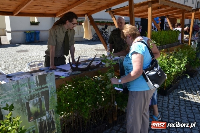 Zdjęcie w galerii na portalu naszraciborz.pl: IV Czym Nędza bogata! - rodzinny piknik na Zamku Piastowskim za nami  wiadomości z regionu
