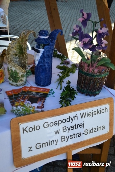 Zdjęcie w galerii na portalu naszraciborz.pl: IV Czym Nędza bogata! - rodzinny piknik na Zamku Piastowskim za nami  wiadomości z regionu